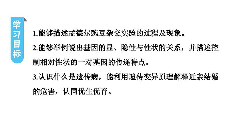 人教版生物八年级下册 第七单元第二章第三节基因的显性和隐性课件03