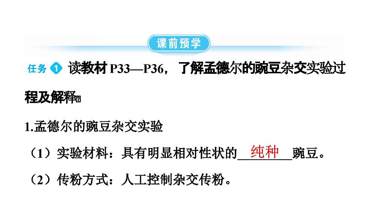 人教版生物八年级下册 第七单元第二章第三节基因的显性和隐性课件04