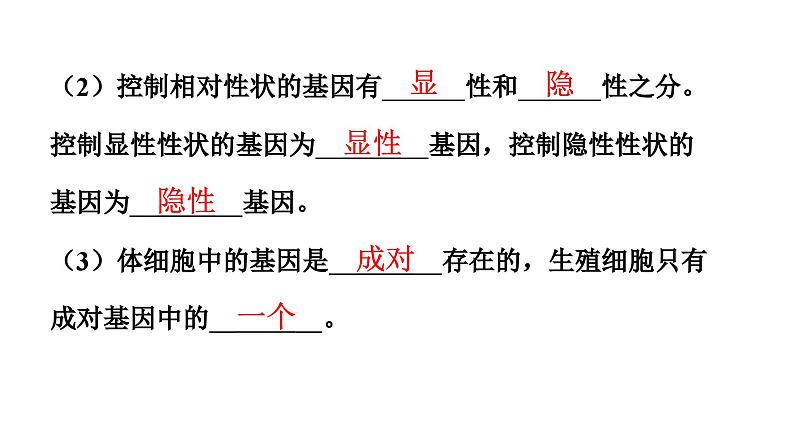 人教版生物八年级下册 第七单元第二章第三节基因的显性和隐性课件07