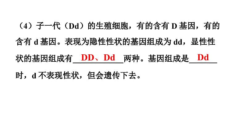 人教版生物八年级下册 第七单元第二章第三节基因的显性和隐性课件08