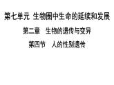 人教版生物八年级下册 第七单元第二章第四节人的性别遗传课件