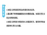 人教版生物八年级下册 第七单元第二章第四节人的性别遗传课件