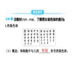 人教版生物八年级下册 第七单元第二章第四节人的性别遗传课件