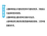 人教版生物八年级下册 第七单元第二章第五节生物的变异课件