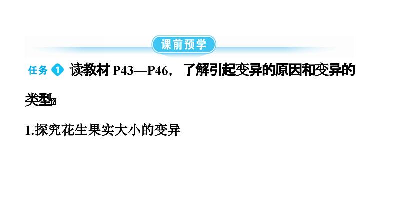 人教版生物八年级下册 第七单元第二章第五节生物的变异课件04