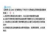 人教版生物八年级下册 第七单元第三章本章强化提升课件