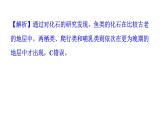 人教版生物八年级下册 第七单元第三章本章强化提升课件