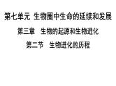 人教版生物八年级下册 第七单元第三章第二节生物进化的历程课件