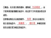 人教版生物八年级下册 第七单元第三章第二节生物进化的历程课件