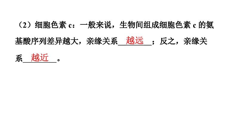 人教版生物八年级下册 第七单元第三章第二节生物进化的历程课件05