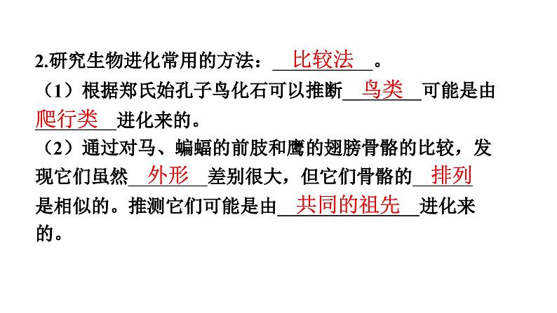 人教版生物八年级下册 第七单元第三章第二节生物进化的历程课件06