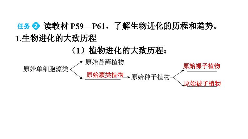 人教版生物八年级下册 第七单元第三章第二节生物进化的历程课件08