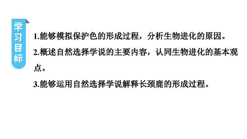 人教版生物八年级下册 第七单元第三章第三节生物进化的原因课件03