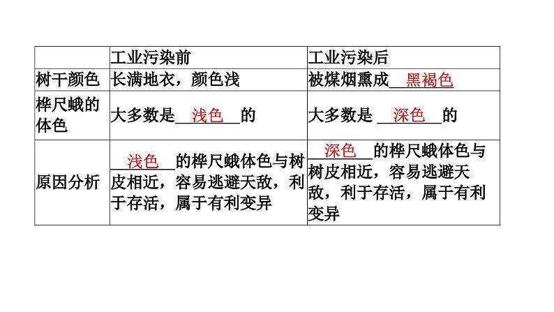 人教版生物八年级下册 第七单元第三章第三节生物进化的原因课件04