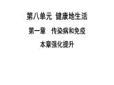 人教版生物八年级下册 第八单元第一章 本章强化提升课件