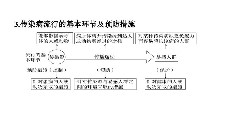 人教版生物八年级下册 第八单元第一章 本章强化提升课件05