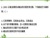 人教版生物八年级下册 第7单元  第1章  第2节   昆虫的生殖和发育习题课件