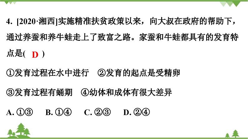 人教版生物八年级下册 第7单元  第1章  第3节   两栖动物的生殖和发育习题课件05