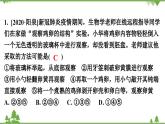 人教版生物八年级下册 第7单元  第1章  第4节   鸟的生殖和发育习题课件