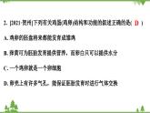 人教版生物八年级下册 第7单元  第1章  第4节   鸟的生殖和发育习题课件