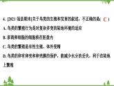人教版生物八年级下册 第7单元  第1章  第4节   鸟的生殖和发育习题课件
