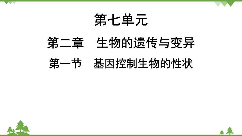 人教版生物八年级下册 第7单元  第2章  第1节　基因控制生物的性状习题课件第1页