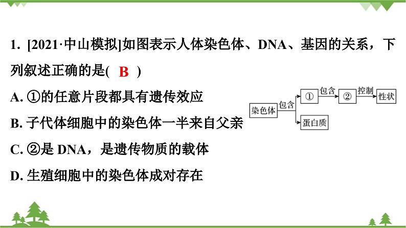 人教版生物八年级下册 第7单元  第2章  第2节　基因在亲子代间的传递习题课件02