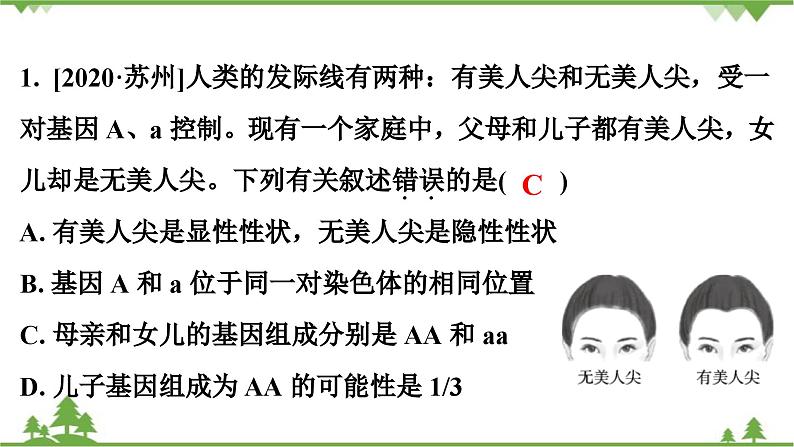 人教版生物八年级下册 第7单元  第2章  第3节   基因的显性和隐性习题课件02