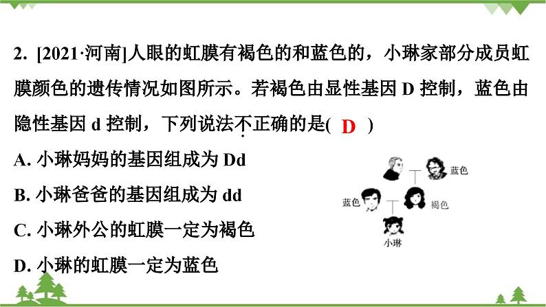 人教版生物八年级下册 第7单元  第2章  第3节   基因的显性和隐性习题课件03