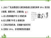 人教版生物八年级下册 第7单元  第2章  第4节   人的性别遗传习题课件