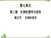 人教版生物八年级下册 第7单元  第2章  第5节   生物的变异习题课件