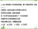 人教版生物八年级下册 第7单元  第2章  第5节   生物的变异习题课件