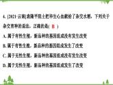 人教版生物八年级下册 第7单元  第2章  第5节   生物的变异习题课件