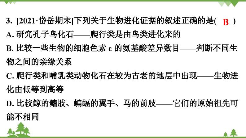 人教版生物八年级下册 第7单元  第3章  第2节   生物进化的历程习题课件04