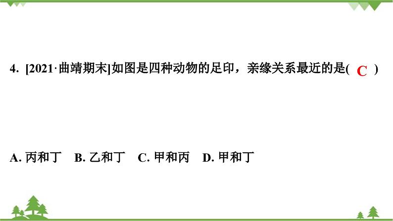 人教版生物八年级下册 第7单元  第3章  第2节   生物进化的历程习题课件05