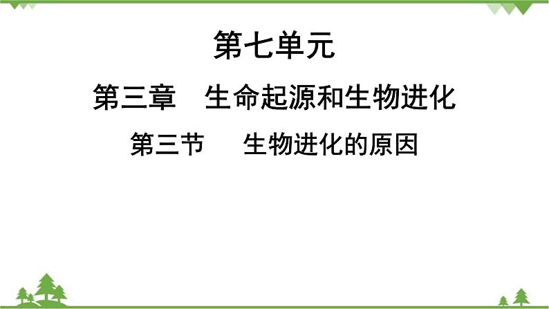 人教版生物八年级下册 第7单元  第3章  第3节   生物进化的原因习题课件01