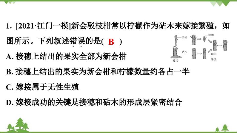 人教版生物八年级下册 期末专训  专训(2)   表格、曲线、结构模式图习题课件02