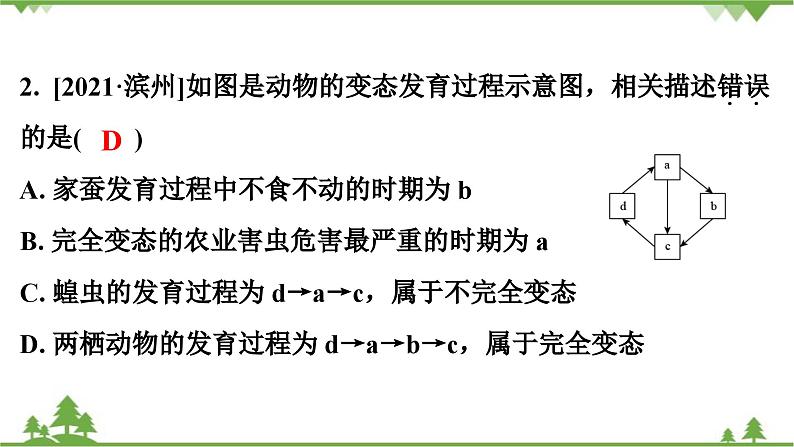 人教版生物八年级下册 期末专训  专训(2)   表格、曲线、结构模式图习题课件03