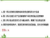 人教版生物八年级下册 期末专训  专训(2)   表格、曲线、结构模式图习题课件