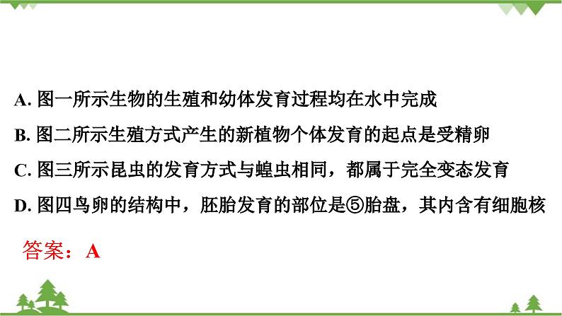 人教版生物八年级下册 期末专训  专训(2)   表格、曲线、结构模式图习题课件04