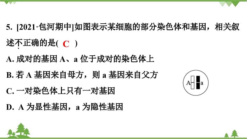 人教版生物八年级下册 期末专训  专训(2)   表格、曲线、结构模式图习题课件06