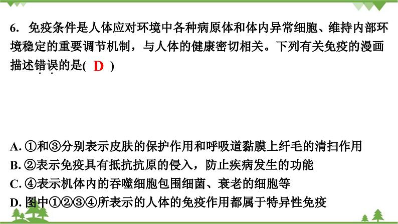 人教版生物八年级下册 期末专训  专训(2)   表格、曲线、结构模式图习题课件07