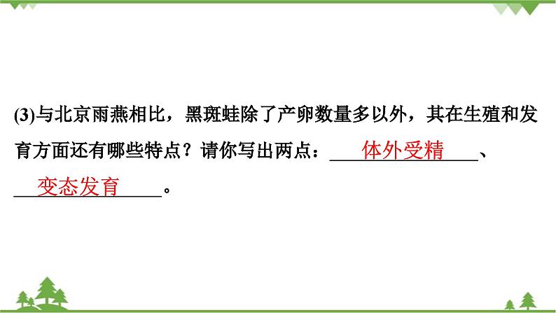 人教版生物八年级下册 期末专训  专训(3)   材料分析题习题课件04