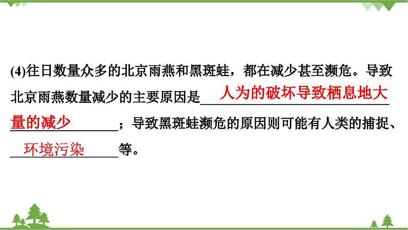 人教版生物八年级下册 期末专训  专训(3)   材料分析题习题课件05