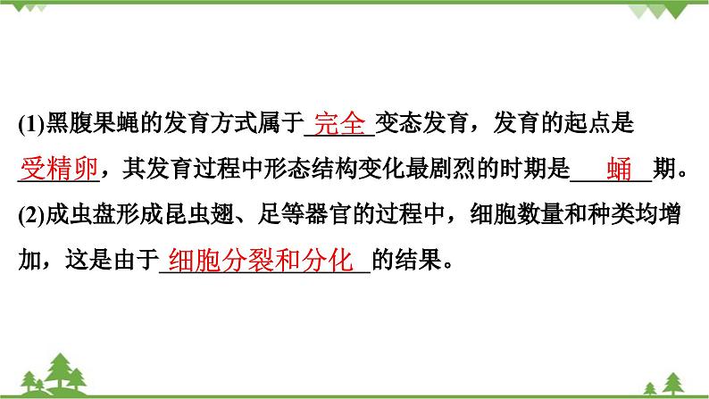 人教版生物八年级下册 期末专训  专训(3)   材料分析题习题课件06