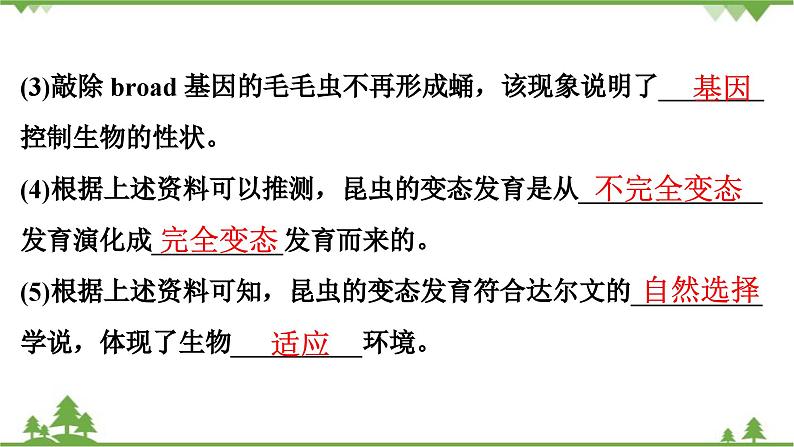 人教版生物八年级下册 期末专训  专训(3)   材料分析题习题课件07