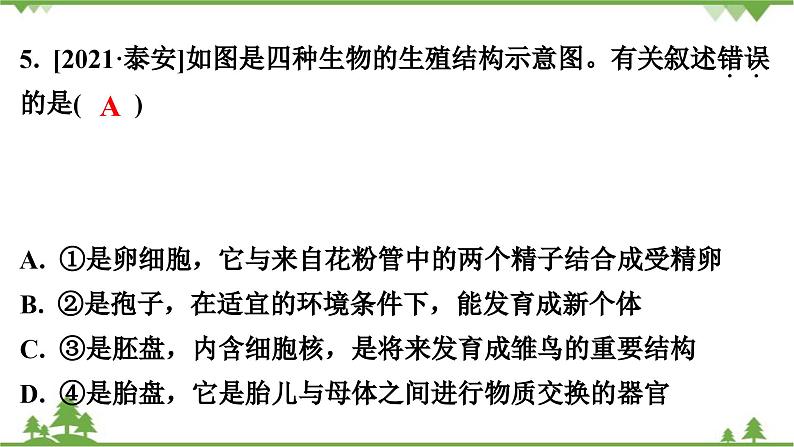 人教版生物八年级下册 第7单元  第1章  本章强化提升  中考真题演练习题课件第6页