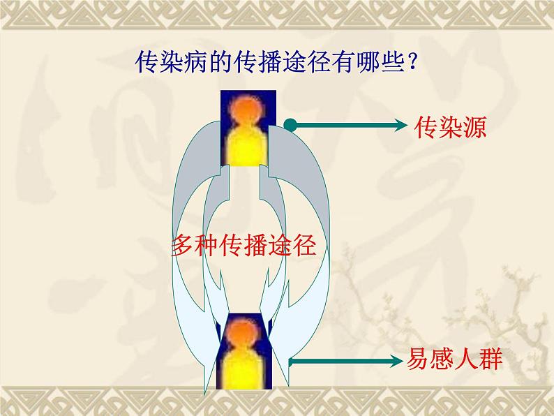 苏教版生物八年级下册 第二十五章 第一节 传染病_-课件第8页