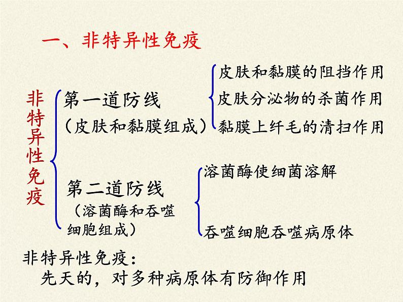 苏教版生物八年级下册 第二十五章 第三节 免疫(18)-课件05