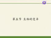 苏教版生物八年级下册 第二十二章 第五节 生物的变异(9)-课件